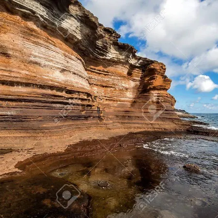 Cozy Tenerife South Wifi & Pool 아파트