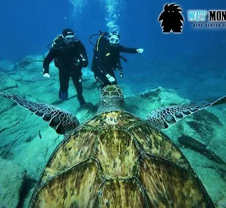 Cozy Tenerife South Wifi & Pool 아파트 코스타델실렌시오