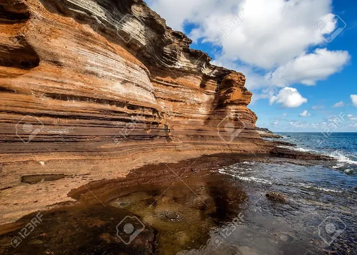 Cozy Tenerife South Wifi & Pool Διαμέρισμα