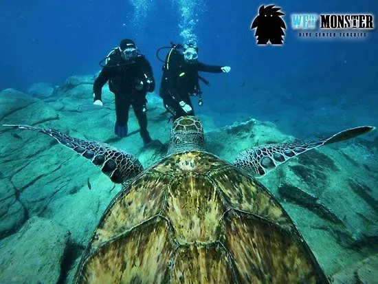 Cozy Tenerife South Wifi & Pool Διαμέρισμα Costa Del Silencio